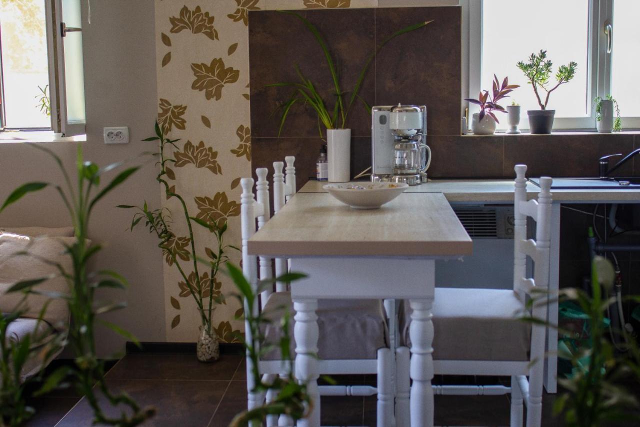 Yox Apartment 1 Oradea Luaran gambar