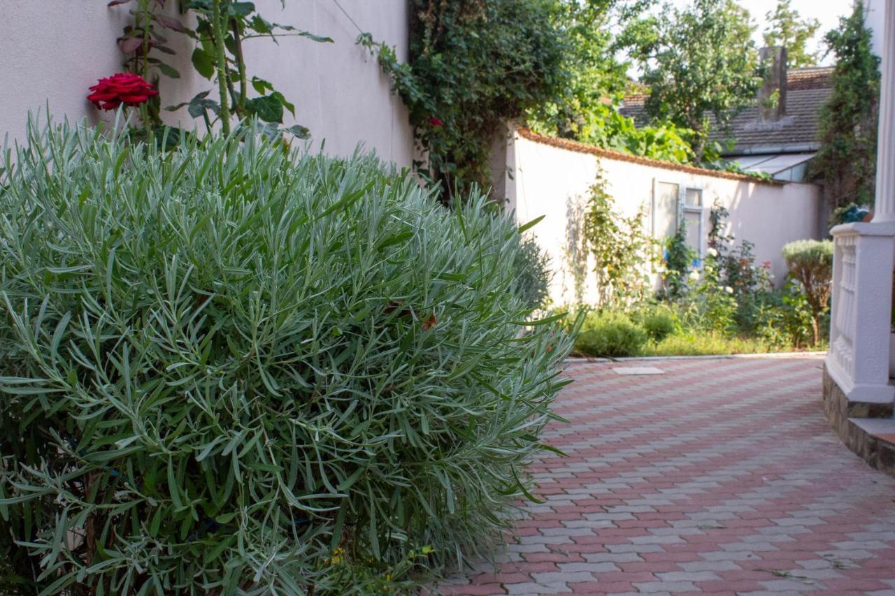 Yox Apartment 1 Oradea Luaran gambar